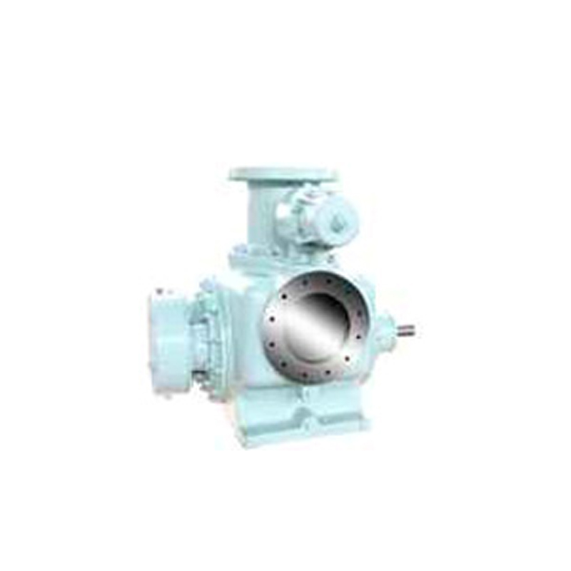 CTP SW pump