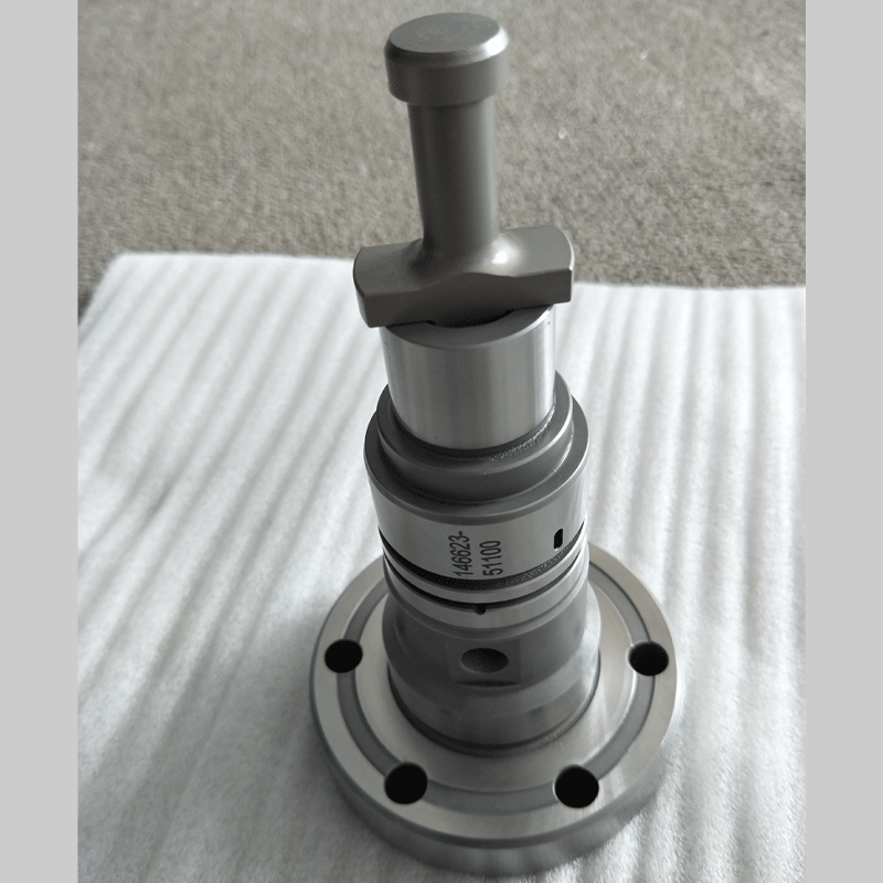 Plunger assy